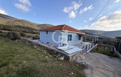 Foça Kocamehmetler'de Satılık Bağ