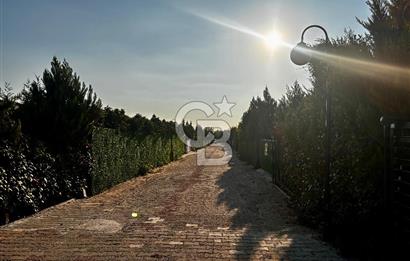 Buca Canlife’ta kooperatif satılık arsa