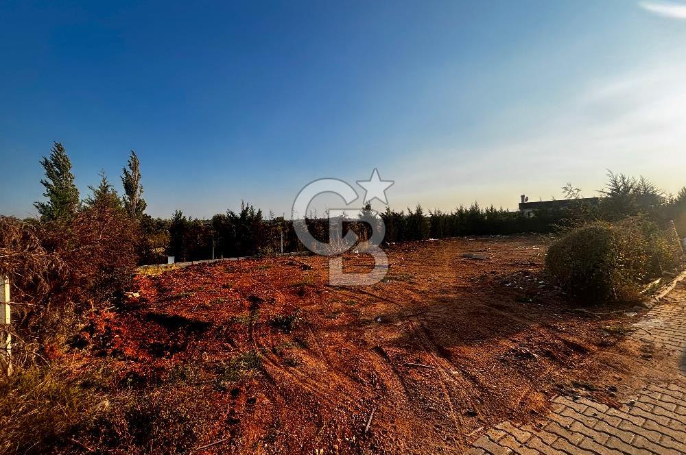 Buca Canlife’ta kooperatif satılık arsa