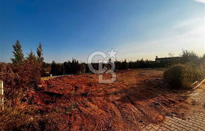 Buca Canlife’ta kooperatif satılık arsa