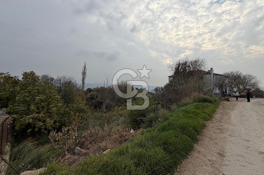 LAPSEKİ GÖKKÖY’DE KÖY İÇİ İMARLI BAHÇE