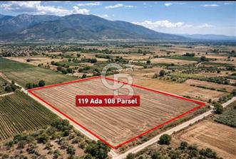 DENİZLİ ACIPAYAM ÖREN'DE SATILIK TARLA - 1 - 303897