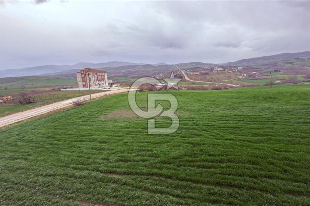 MANYAS ÇARŞIDA DOĞA MANZARALI / 4+1 SIFIR LÜKS DUBLEKS