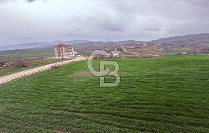 MANYAS ÇARŞIDA DOĞA MANZARALI / 4+1 SIFIR LÜKS DUBLEKS