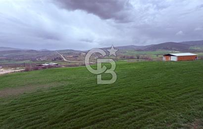 MANYAS ÇARŞIDA DOĞA MANZARALI / 4+1 SIFIR LÜKS DUBLEKS