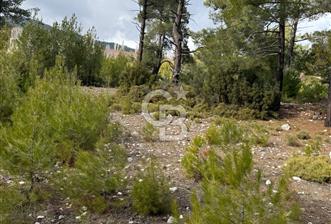 CB GİZ'DEN KAŞ YUVACIK'TA ACİL SATILIK TARLA - 5 - 326496