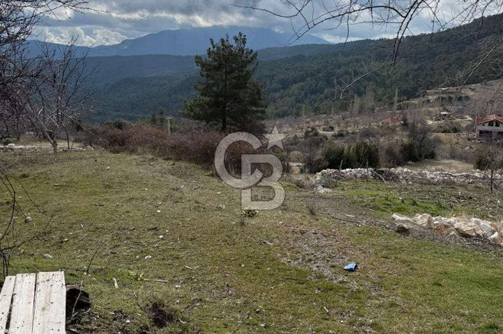 CB GİZ'DEN KAŞ YAYLA ÇAYKÖY'DE ACİL SATILIK TARLA
