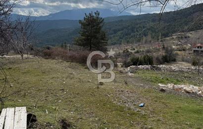 CB GİZ'DEN KAŞ YAYLA ÇAYKÖY'DE ACİL SATILIK TARLA