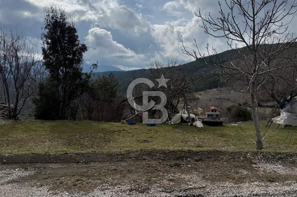 CB GİZ'DEN KAŞ YAYLA ÇAYKÖY'DE ACİL SATILIK TARLA