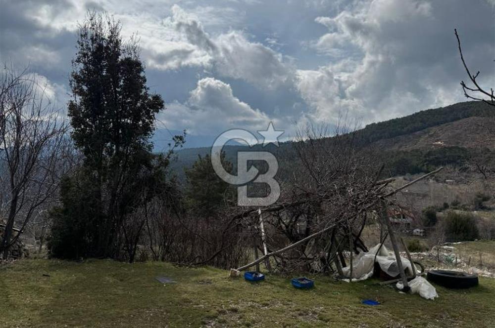 CB GİZ'DEN KAŞ YAYLA ÇAYKÖY'DE ACİL SATILIK TARLA