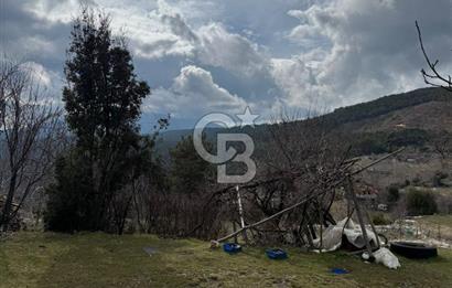 CB GİZ'DEN KAŞ YAYLA ÇAYKÖY'DE ACİL SATILIK TARLA