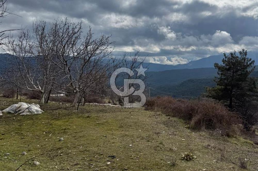 CB GİZ'DEN KAŞ YAYLA ÇAYKÖY'DE ACİL SATILIK TARLA