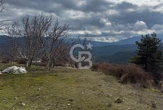 CB GİZ'DEN KAŞ YAYLA ÇAYKÖY'DE ACİL SATILIK TARLA - 7 - 326492