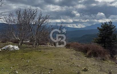 CB GİZ'DEN KAŞ YAYLA ÇAYKÖY'DE ACİL SATILIK TARLA