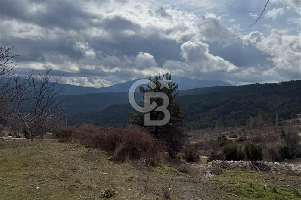 CB GİZ'DEN KAŞ YAYLA ÇAYKÖY'DE ACİL SATILIK TARLA