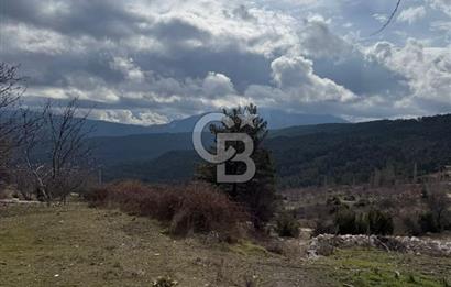 CB GİZ'DEN KAŞ YAYLA ÇAYKÖY'DE ACİL SATILIK TARLA