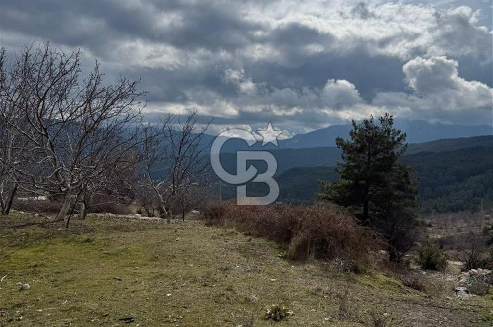 CB GİZ'DEN KAŞ YAYLA ÇAYKÖY'DE ACİL SATILIK TARLA