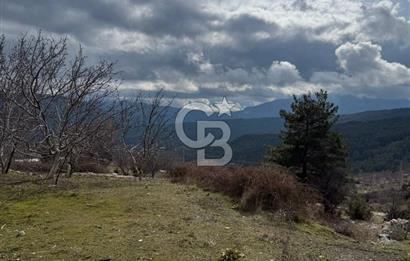 CB GİZ'DEN KAŞ YAYLA ÇAYKÖY'DE ACİL SATILIK TARLA