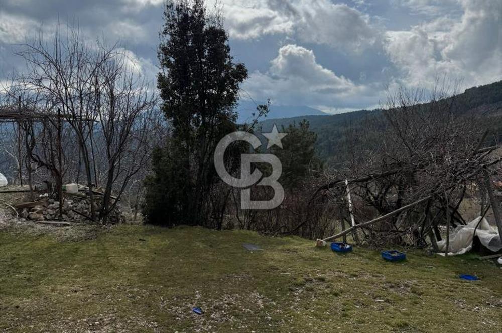 CB GİZ'DEN KAŞ YAYLA ÇAYKÖY'DE ACİL SATILIK TARLA