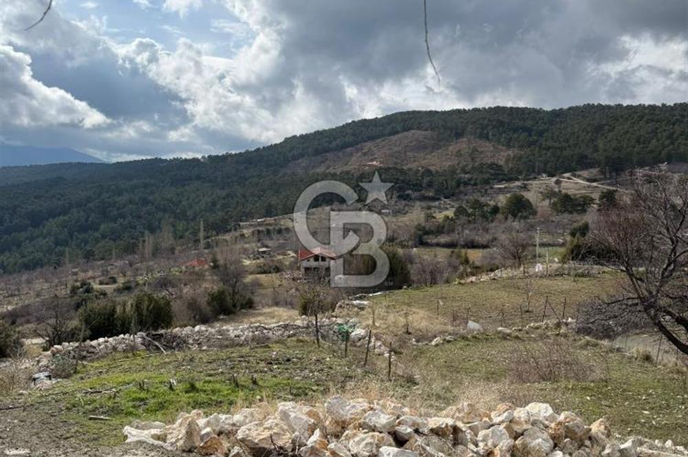CB GİZ'DEN KAŞ YAYLA ÇAYKÖY'DE ACİL SATILIK TARLA