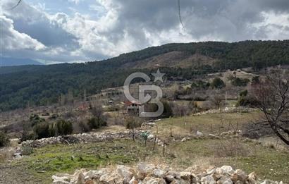 CB GİZ'DEN KAŞ YAYLA ÇAYKÖY'DE ACİL SATILIK TARLA