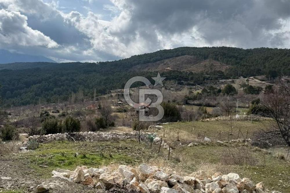 CB GİZ'DEN KAŞ YAYLA ÇAYKÖY'DE ACİL SATILIK TARLA