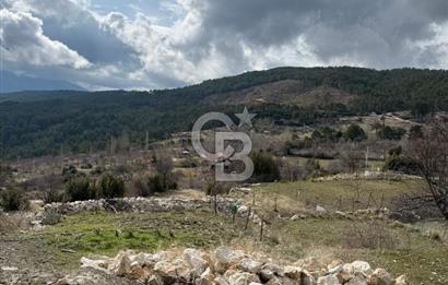 CB GİZ'DEN KAŞ YAYLA ÇAYKÖY'DE ACİL SATILIK TARLA