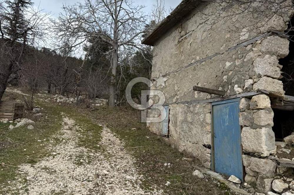 CB GİZ'DEN KAŞ YAYLA ÇAYKÖY'DE ACİL SATILIK KARGİR EV VE BAHÇESİ