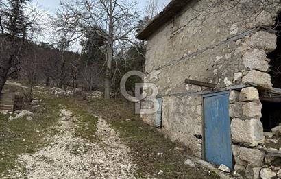 CB GİZ'DEN KAŞ YAYLA ÇAYKÖY'DE ACİL SATILIK KARGİR EV VE BAHÇESİ