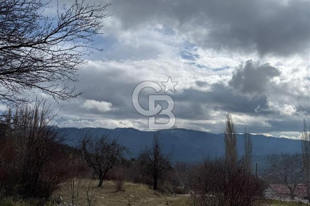 CB GİZ'DEN KAŞ YAYLA ÇAYKÖY'DE ACİL SATILIK KARGİR EV VE BAHÇESİ