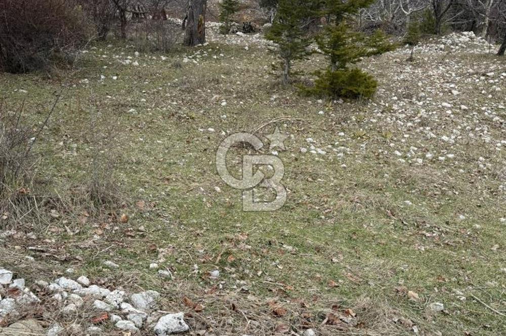 CB GİZ'DEN KAŞ YAYLA ÇAYKÖY'DE ACİL SATILIK KARGİR EV VE BAHÇESİ