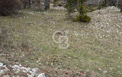 CB GİZ'DEN KAŞ YAYLA ÇAYKÖY'DE ACİL SATILIK KARGİR EV VE BAHÇESİ