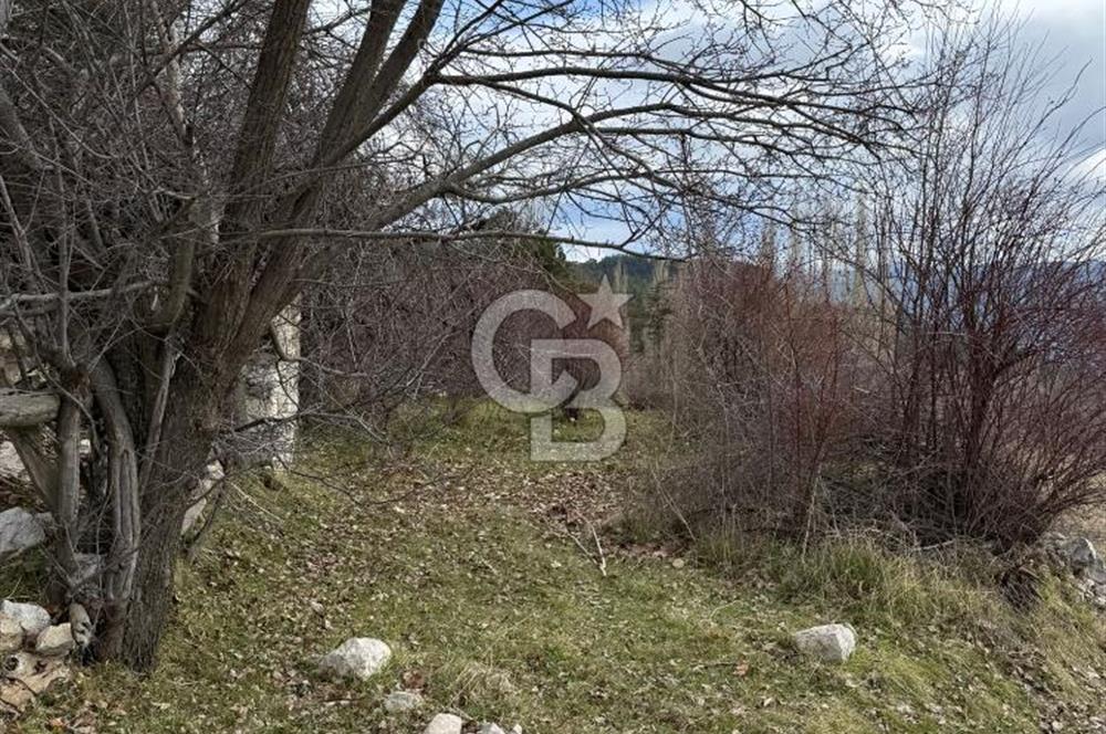 CB GİZ'DEN KAŞ YAYLA ÇAYKÖY'DE ACİL SATILIK KARGİR EV VE BAHÇESİ