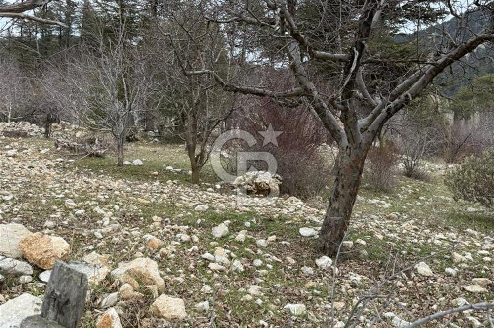 CB GİZ'DEN KAŞ YAYLA ÇAYKÖY'DE ACİL SATILIK KARGİR EV VE BAHÇESİ