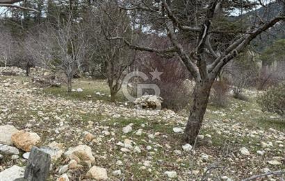 CB GİZ'DEN KAŞ YAYLA ÇAYKÖY'DE ACİL SATILIK KARGİR EV VE BAHÇESİ