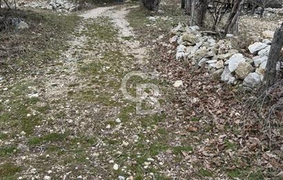 CB GİZ'DEN KAŞ YAYLA ÇAYKÖY'DE ACİL SATILIK KARGİR EV VE BAHÇESİ