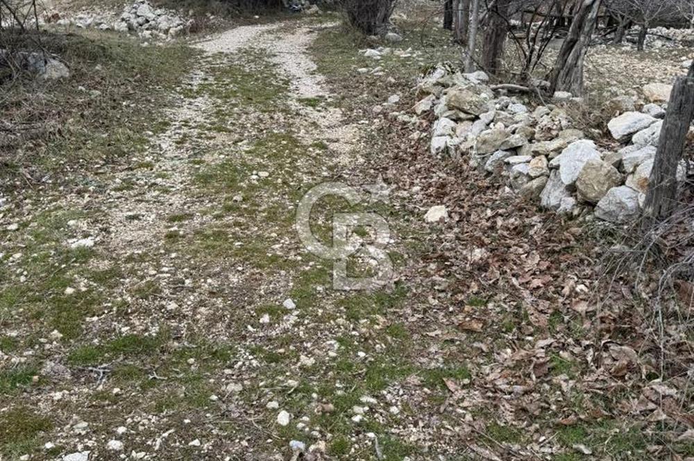 CB GİZ'DEN KAŞ YAYLA ÇAYKÖY'DE ACİL SATILIK KARGİR EV VE BAHÇESİ