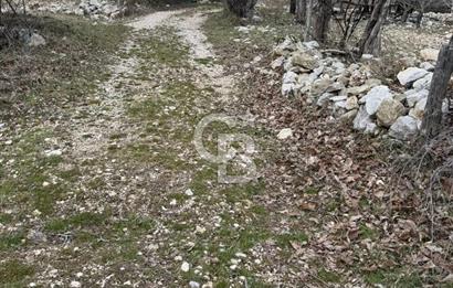 CB GİZ'DEN KAŞ YAYLA ÇAYKÖY'DE ACİL SATILIK KARGİR EV VE BAHÇESİ