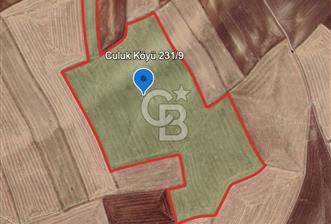 Haymana Culuk Satılık Tarla 132 Dönüm, Tek ve Kök Tapu - 8 - 333753