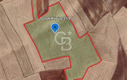 Haymana Culuk Satılık Tarla 132 Dönüm, Tek ve Kök Tapu