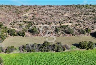 LAPSEKİ GÖKKÖY’DE UYGUN FİYATLI TARLA - 6 - 333744