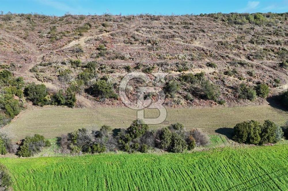 LAPSEKİ GÖKKÖY’DE UYGUN FİYATLI TARLA