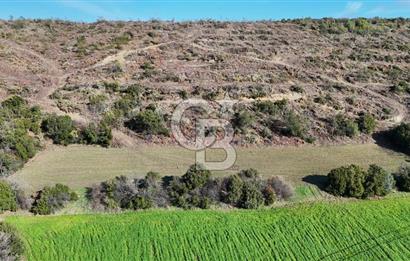 LAPSEKİ GÖKKÖY’DE UYGUN FİYATLI TARLA