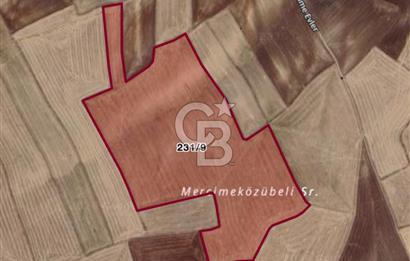 Haymana Culuk Satılık Tarla 132 Dönüm, Tek ve Kök Tapu