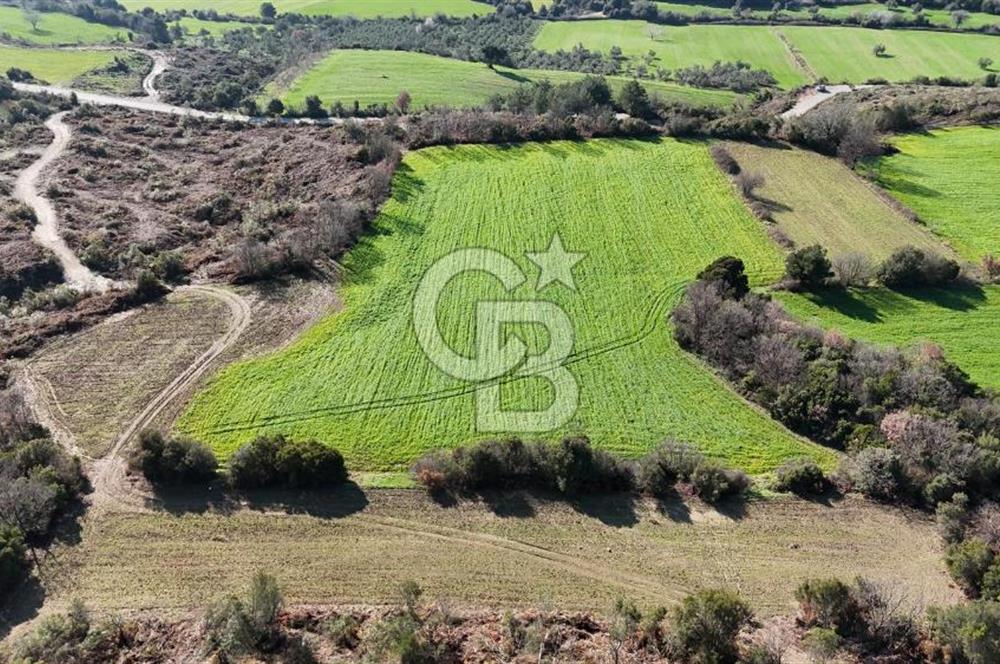 LAPSEKİ GÖKKÖY’DE UYGUN FİYATLI TARLA