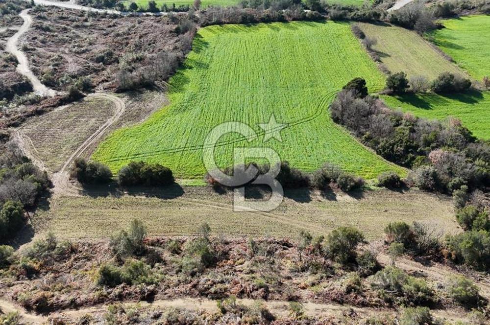 LAPSEKİ GÖKKÖY’DE UYGUN FİYATLI TARLA