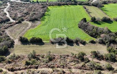 LAPSEKİ GÖKKÖY’DE UYGUN FİYATLI TARLA