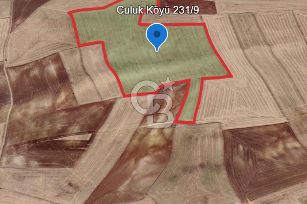 Haymana Culuk Satılık Tarla 132 Dönüm, Tek ve Kök Tapu