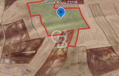Haymana Culuk Satılık Tarla 132 Dönüm, Tek ve Kök Tapu