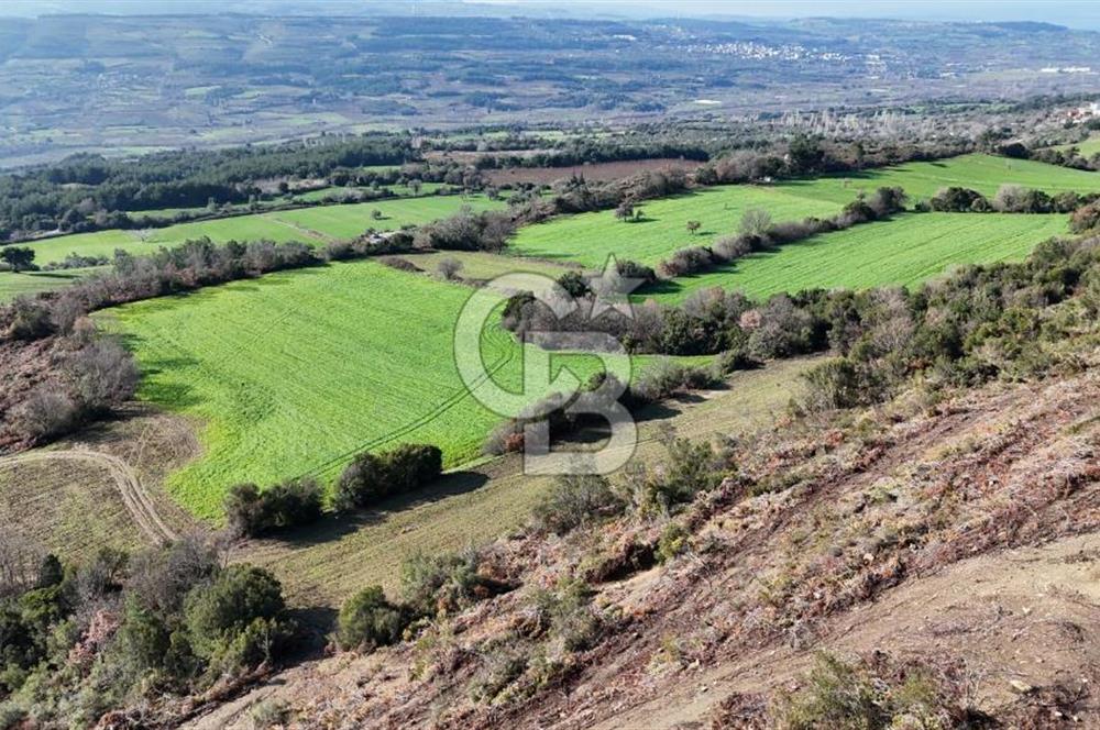 LAPSEKİ GÖKKÖY’DE UYGUN FİYATLI TARLA